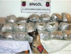 Bingöl'de 306 Kilogram Esrar Ele Geçirildi