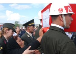 Annenin, Şehit Oğlunun Arkasından Acı Feryadı: Beni Bırakma İbo