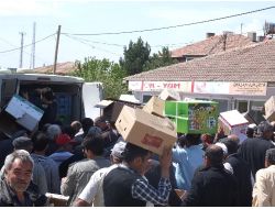 Bu Da Hindi Civcivi İzdihamı