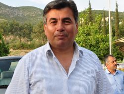 Duman İsimli Fokun, Darp Sonucu Öldüğü Ortaya Çıktı