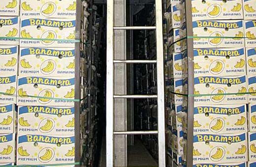 'ÇİKİTA MUZ SKANDALI'