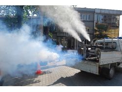 Orhaneli’nde İlaçlama Çalışmaları Başladı