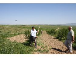 Köy İmamı Ve Köylü Dayanışma İçinde Çalışıyor