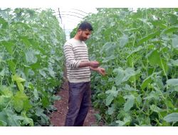 Makul Fiyat, Bol Ürün Çiftçiye Daha Çok Para Kazandırdı