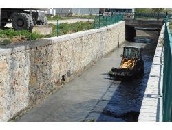 Bozüyük'te Kanalboyu Temizlendi