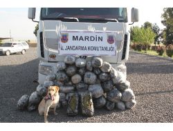 Mardin'de 170 Kilo Esrar Ele Geçirildi
