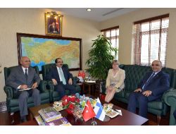 Vali Coş: Suriye'deki Krizin Ekonomik Kaybı Değil İnsani Yönü Bizim İçin Önemli