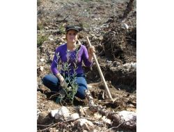 Yangın Sonrası 10 Bin Hektar Alana Dikilen Fidanların Bakımı Yapıldı