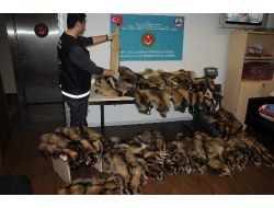 Ukraynalı Kadınlar Samur Postlarıyla Yakalandı