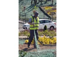 Çimler Püskürtme Yöntemiyle Ekiliyor