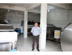 Süt Kooperatifi Beldeye Hayat Veriyor