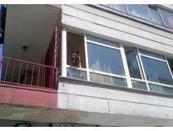 İşyerine Kapatılan 'Paşa'nın Havlamaları Mahalleliyi Uyutmadı