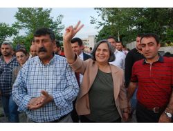 Kışanak: Öcalan Serbest Bırakılmalı