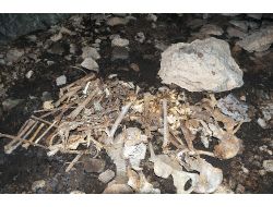 Dersim Harekatında Hayatını Kaybedenlerin Kemiklerine 76 Yıl Sonra Ulaşabildi