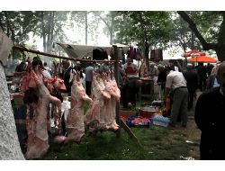 Geyikkoşan Güreşleri’nde Pehlivanlar Er Meydanında