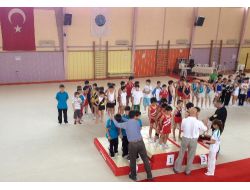 Edremit Özcan Koleji Jimnastikte Türkiye Şampiyonu Oldu