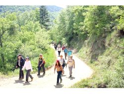 Gezmesi Sizden Masrafı Belediyeden