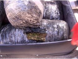 Uşak’ta 63 Kg. Esrar Ele Geçirildi