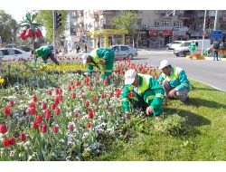 Belediye Atatürk Bulvarı'nda Bakım Yapıyor