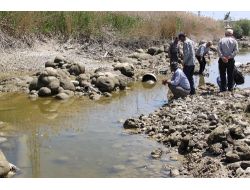 Sakarya Nehri Kurudu, Çiftçi Endişeli