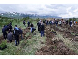 Polis Ve Vatandaş Birlikte Hatıra Ormanına 900 Fidan Dikti