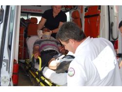 Zeytinliğe Uçan Otomobilin Sürücüsü Yaralı Kurtuldu