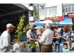 Büyükşehir Belediyesi’nin Turunç Fidanı Kampanyası Sürüyor