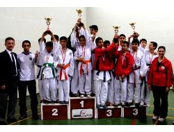 Karatecilerden 25 Madalya