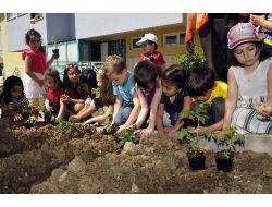 Minik Çiftçiler İş Başında