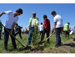 Samanyolu Necip Fazıl Öğrencileri Fidan Dikti