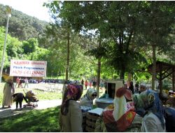 Boyabat Fem Öğrencileri Piknikte Buluştu