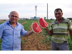 Havalar Isındı, Antalya'nın Karpuzu 1 Buçuk Liradan Kapışılıyor