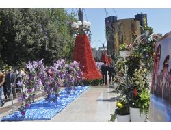 Azerbaycan'da Gül Bayramı Ve Aliyev'in Doğum Günü Kutlanıyor