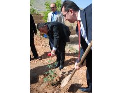 Her Öğrenci Bir Gül Dikti, Okulu Gül Bahçesine Çevirdi