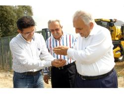 Çukurova’nın İlk Buğday Hasadı Yapıldı