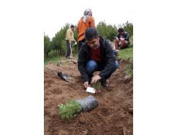 Erzurum'da Avukatlar Fidan Dikti