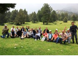 'Denizli’nin Zeytin Yaylası Orman Denizi Gibi'