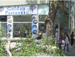 Tescilli Ağacın Kopan Dalı Pastaneye Hasar Verdi