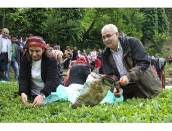 81 İlden 81 Anne Çay Topladı