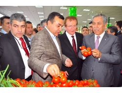 Arınç: Reyhanlı'da Ne Yaşandığını Ortaya Koyacağımızdan Kimse Endişe Duymasın