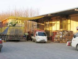 Bartın'da 2009 Yılında 13 Bin Ton Meyve Ve Sebze Satıldı