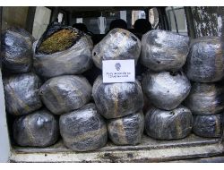 Viranşehir’de 78 Kilogram Esrar Ele Geçirildi