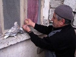 Çocuk Sevgisini Yıllardır Beslediği Güvercinlerle Gideriyor