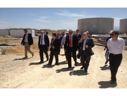 Afyonkarahisar'ın Elektriğinin Yüzde 4'ü Tavuk Gübresinden Üretilecek