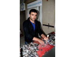 Balık Temizliğinden Kazandıkları Parayla Geçiniyorlar
