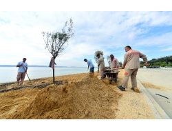 Beylikdüzü, Türkiye Tekerlekli Kayak Şampiyonası’na Hazırlanıyor