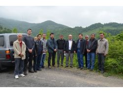 Bal Ormanında İnceleme Yapıldı