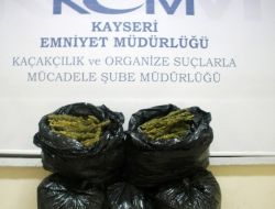 Kayseri'de 28 Kilo Esrar Ele Geçirildi