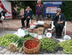 Uludağ Çileği Tezgahdaki Yerini Aldı