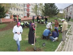 Üniversiteli Gençler Fidan Dikti